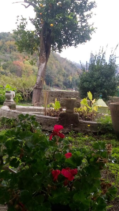 L'Antico Giardino Bed & Breakfast Vietri sul Mare Exterior photo